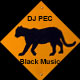 DJ Pec